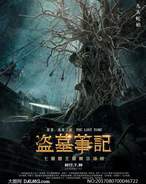 国际驾照翻译认证件照片